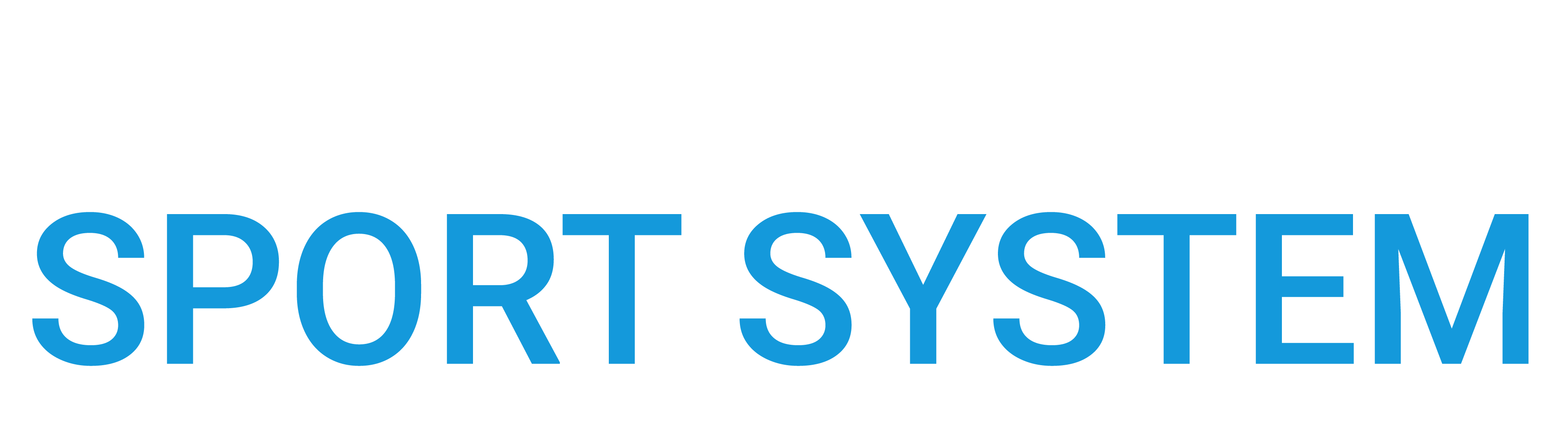 logo SportSystem